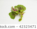 Amaranth leaves 2 42323471
