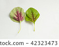 Amaranth leaves 4 42323473