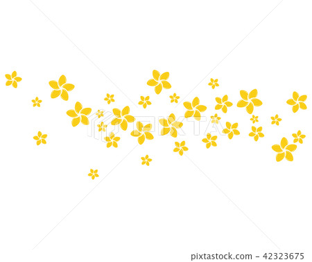 Beauty plumeria flowers design illustration Beauty plumeria flowers design illustration 42323675