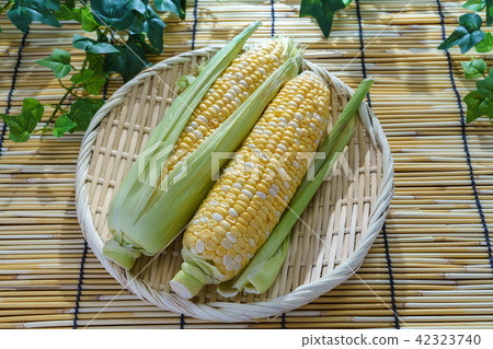 Corn Corn 42323740