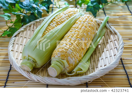 Corn 42323741