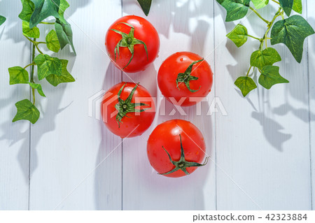 Tomato   42323884