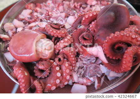 八爪魚·章魚 42324667