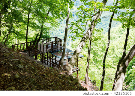 Fureai no Mori 42325105