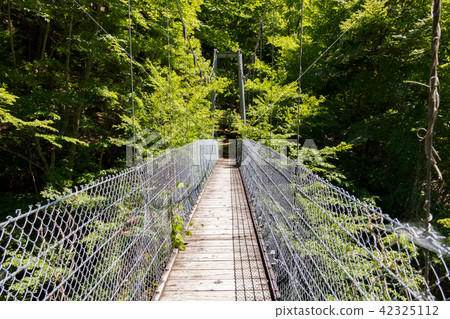 Tatsuma吊橋 42325112