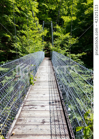 Tatsuma suspension bridge 42325113