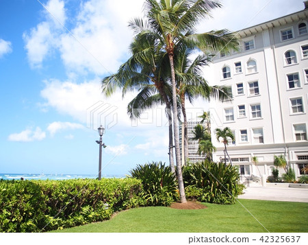 Moana Surfrider 42325637