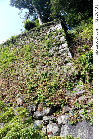Masaki“Matsuzaka Castle Ru” 42326439