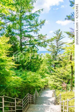 Stairs in fresh green 42326461