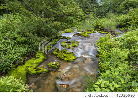 Chabo Mokeke Park 42326680