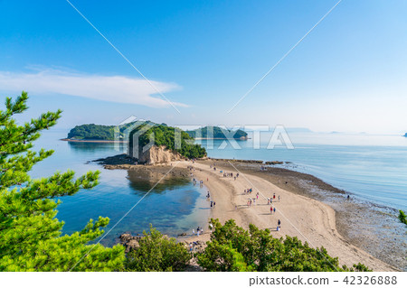 [香川縣]天使之路 42326888