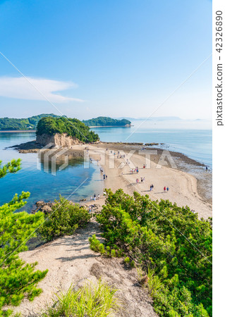 [Kagawa Prefecture] Angel Road 42326890