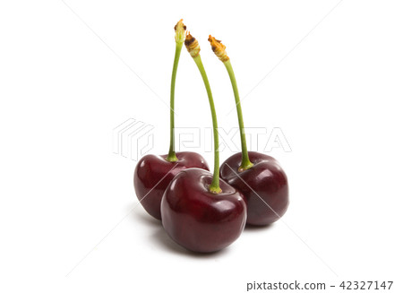 cherry isolated 42327147