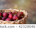 Fresh cherries in the basket 42328046