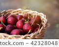 Fresh cherries in the basket 42328048