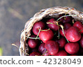 Fresh cherries in the basket 42328049