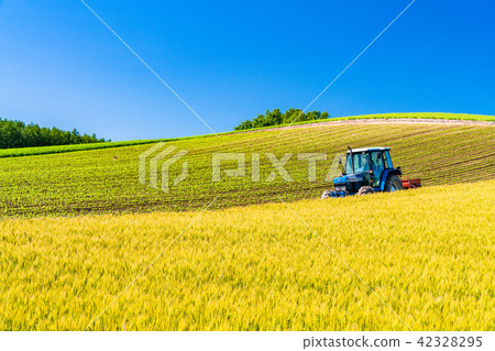 “北海道”美瑛·鄉村景觀和農用車 “北海道”美瑛·鄉村景觀和農用車 42328295