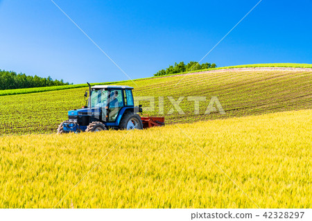 “北海道”美瑛·鄉村景觀和農用車 42328297