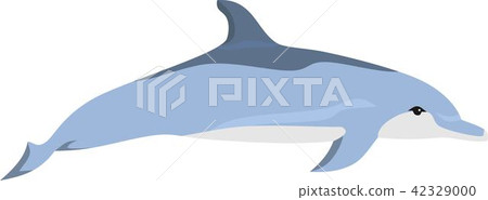 Dolphin 42329000