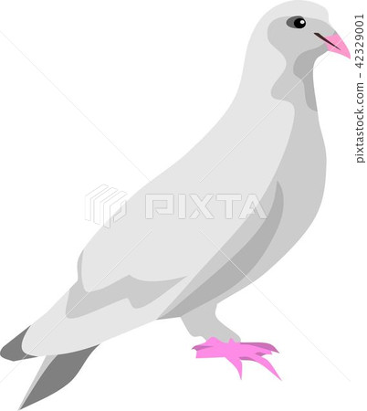 White Dove 42329001