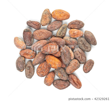top view of cocoa beans isolated on white 42329261