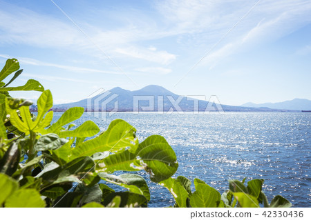 View of the bay and Vesuvius Volcano View of the bay and Vesuvius Volcano 42330436