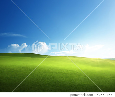 spring grass, golf field 42330467