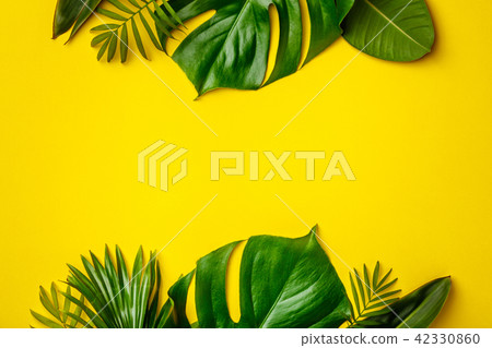Tropical leaves and flowers on yellow background Tropical leaves and flowers on yellow background 42330860