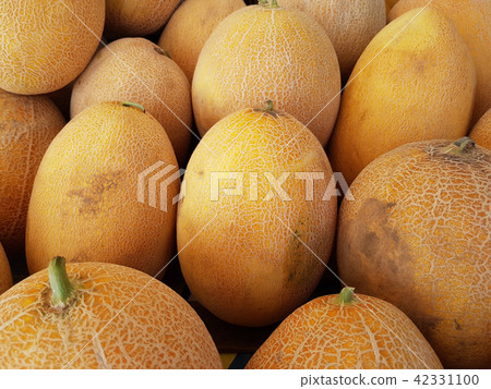 a lot of ripe melon 42331100