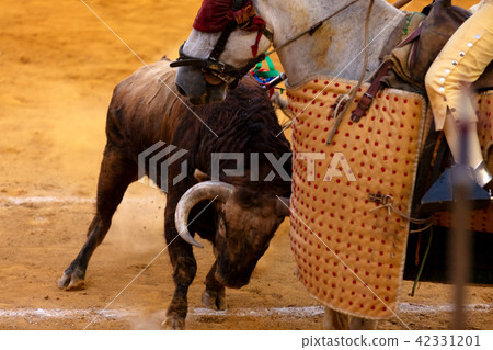 brave bull fighting 42331201