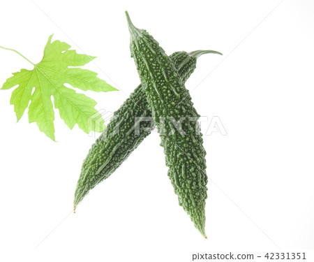 Bitter gourd Bitter gourd 42331351