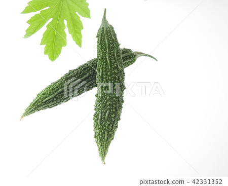 Bitter gourd Bitter gourd 42331352