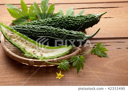 Bitter gourd 42331490
