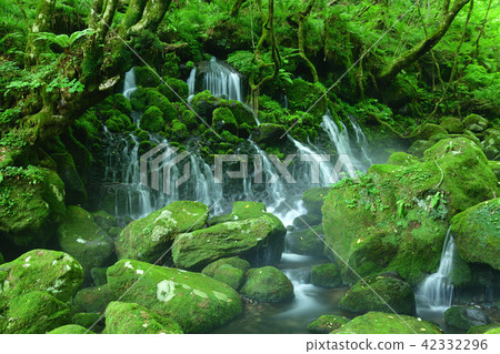 Motoyuki underwater water 42332296