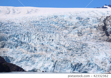 Scenery from Alaska Glacier Cruise (Glacier) 42332362