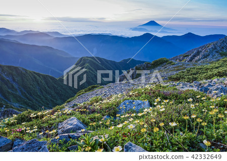 Tingulma在Akaishidake峰會上 42332649