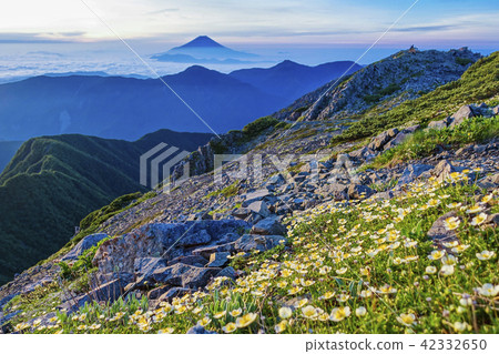 Mount Fuji and Tingleuma 42332650