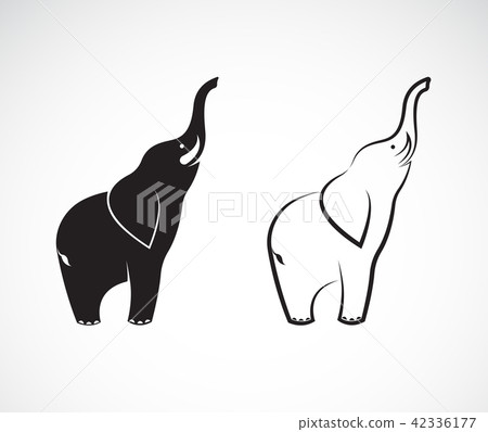 Vector of elephant design on a white background. 42336177