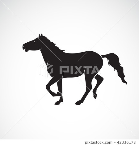 Vector of a horse isolated on white background. - Stock Illustration ...