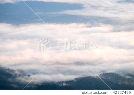 Fog Mountain Doi Luang Chiang Dao Province Fog Mountain Doi Luang Chiang Dao Province 42337499