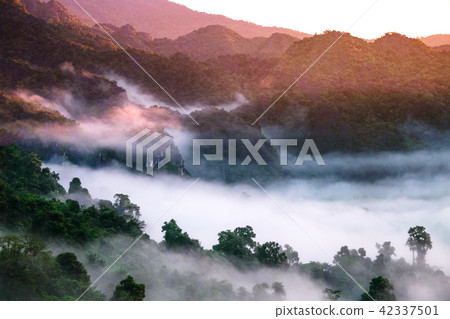 Fog Mountain in morning at Phu langka viewpoint 42337501