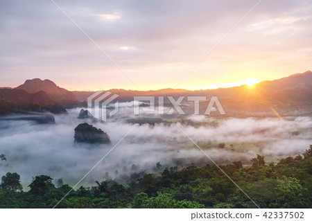Fog Mountain in morning at Phu langka viewpoint 42337502