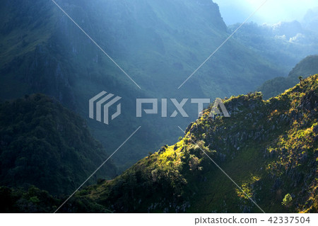 Doi Luang Chiang Dao Province  Thailand  42337504