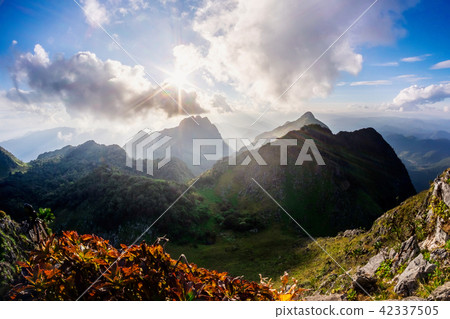 Doi Luang Chiang Dao Province  Thailand  42337505