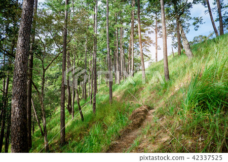 Doi Luang Chiang Dao Province Chiang Mai  42337525