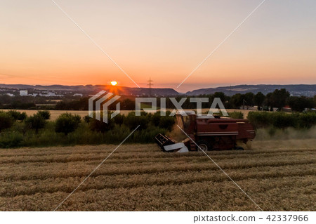 Aerial view of combine harvester harvesting an oats crop at sunset Aerial view of combine harvester harvesting an oats crop at sunset 42337966