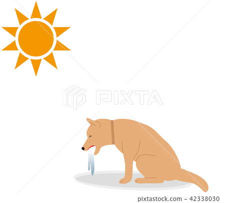 狗中暑的症狀。嘔吐。 42338030