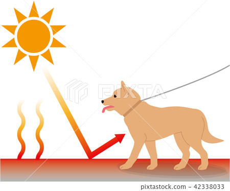An environment where dogs are susceptible to heat stroke. Radiant heat. 42338033