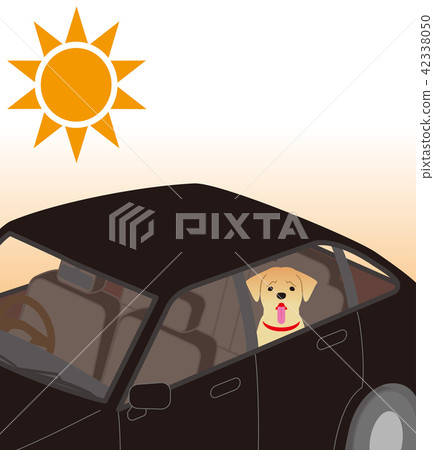 中暑的風險。狗被限制在車內。 中暑的風險。狗被限制在車內。 42338050