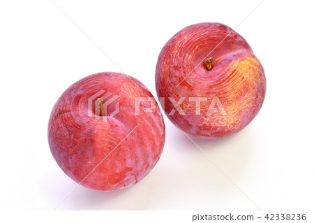 Sumomo (Guiyang) 42338236